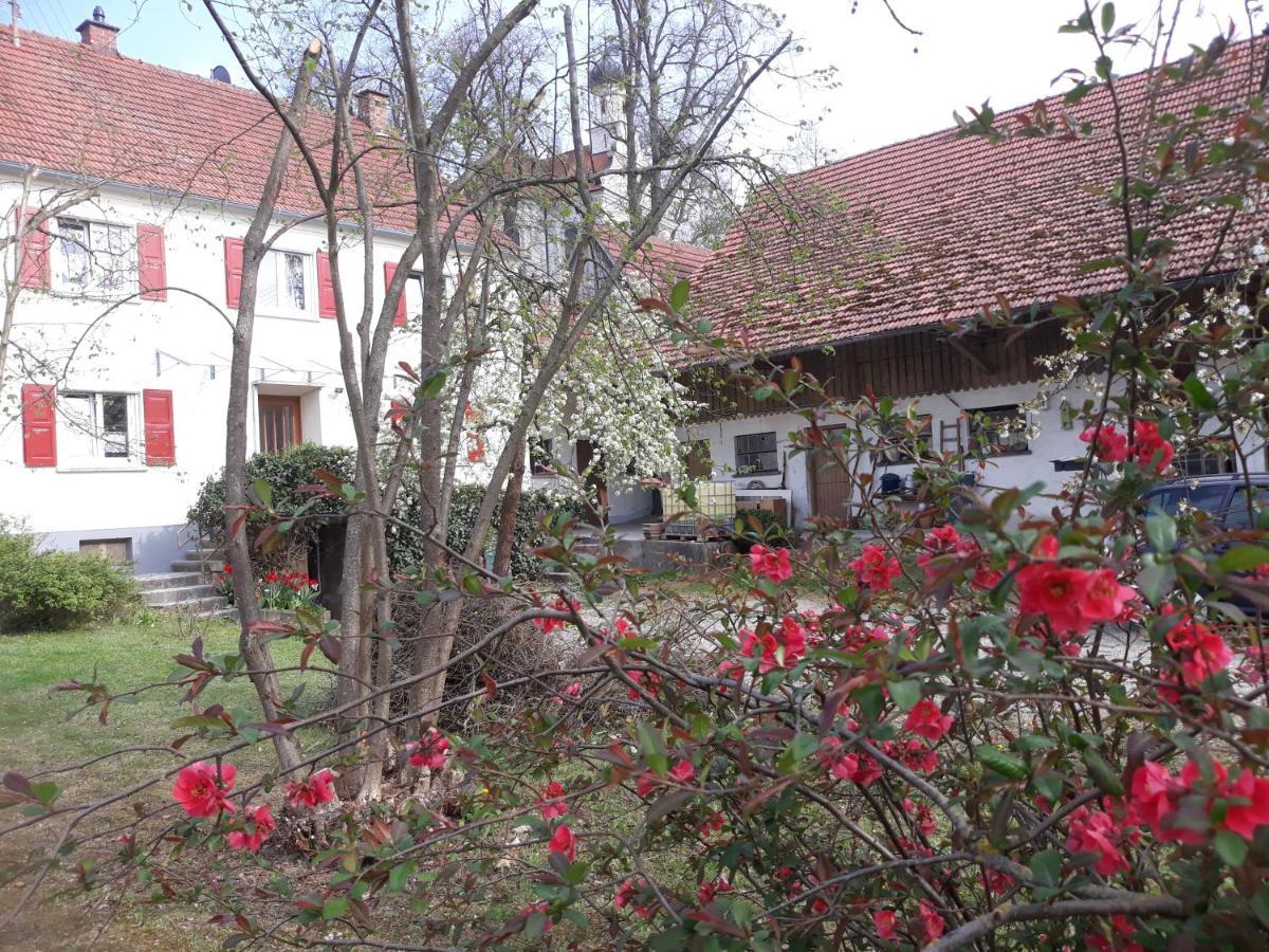 Zum Scheunenhof - Bauernhaus Ichenhausen Exterior foto