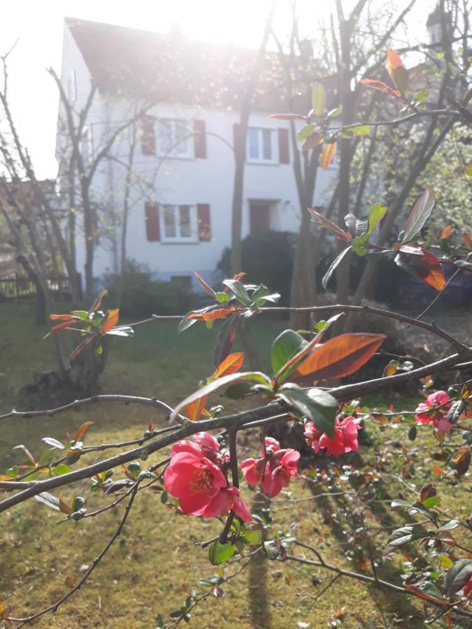 Zum Scheunenhof - Bauernhaus Ichenhausen Exterior foto